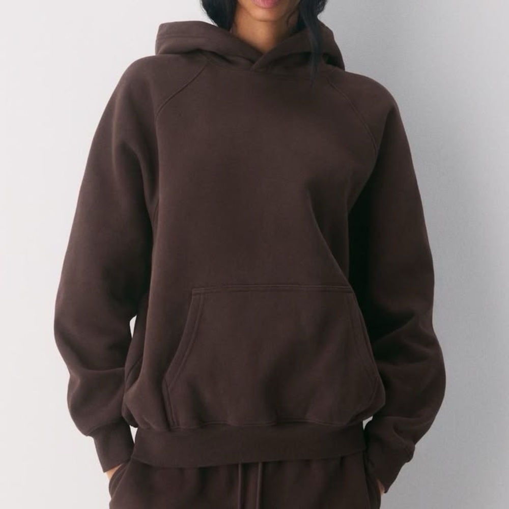 Aritzia Chocolate Brown Hoodie Sweater